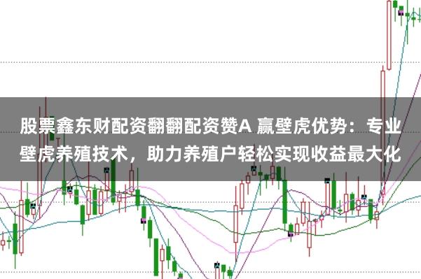 股票鑫东财配资翻翻配资赞A 赢壁虎优势：专业壁虎养殖技术，助力养殖户轻松实现收益最大化