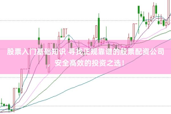股票入门基础知识 寻找正规靠谱的股票配资公司，安全高效的投资之选！