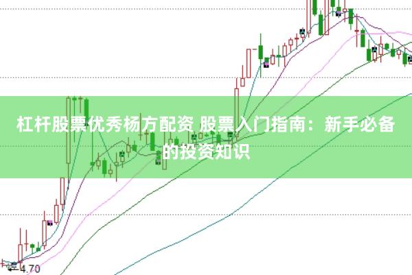 杠杆股票优秀杨方配资 股票入门指南：新手必备的投资知识