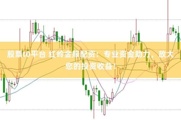 股票t0平台 红岭金服配资：专业资金助力，放大您的投资收益！
