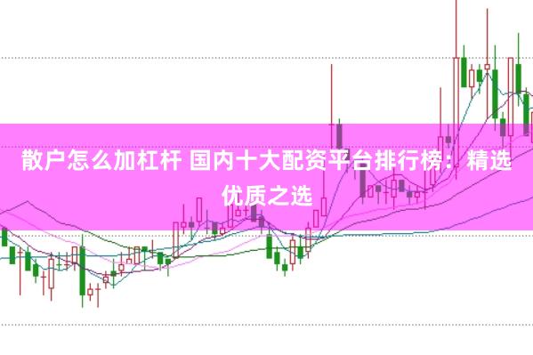 散户怎么加杠杆 国内十大配资平台排行榜：精选优质之选