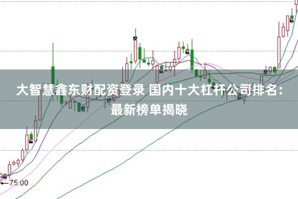 大智慧鑫东财配资登录 国内十大杠杆公司排名：最新榜单揭晓