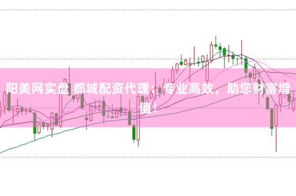 阳美网实盘 都城配资代理：专业高效，助您财富增值！