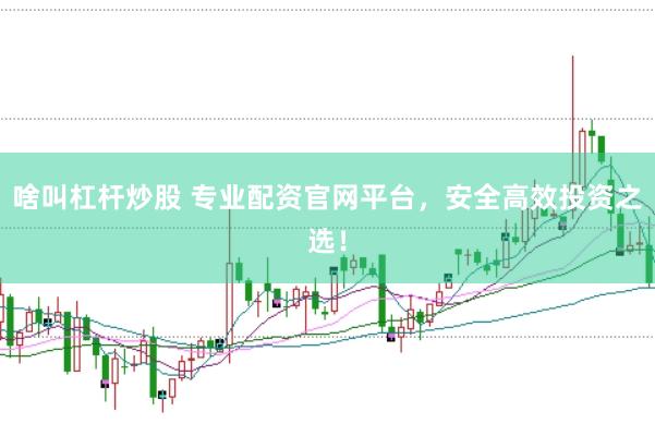 啥叫杠杆炒股 专业配资官网平台，安全高效投资之选！