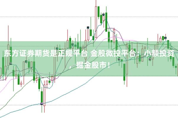 东方证券期货是正规平台 金股微投平台：小额投资，掘金股市！