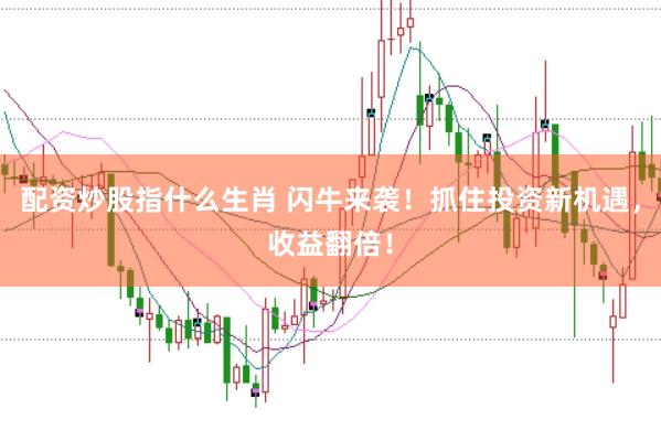 配资炒股指什么生肖 闪牛来袭！抓住投资新机遇，收益翻倍！