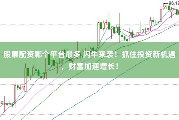 股票配资哪个平台最多 闪牛来袭！抓住投资新机遇，财富加速增长！