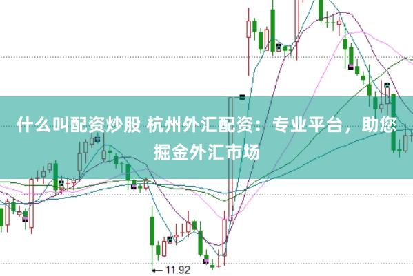 什么叫配资炒股 杭州外汇配资：专业平台，助您掘金外汇市场
