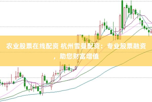 农业股票在线配资 杭州雪曼配资：专业股票融资，助您财富增值