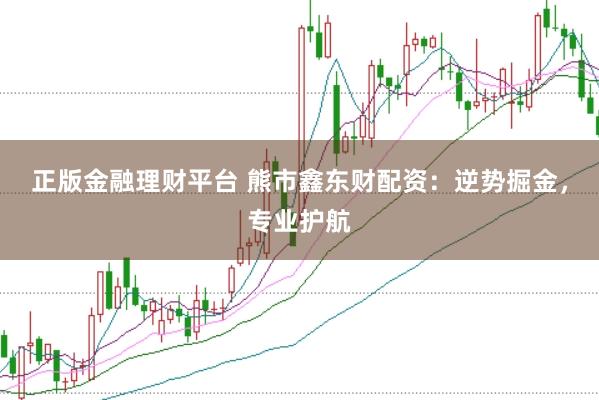 正版金融理财平台 熊市鑫东财配资：逆势掘金，专业护航