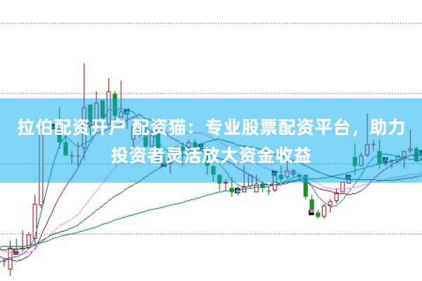 拉伯配资开户 配资猫：专业股票配资平台，助力投资者灵活放大资金收益