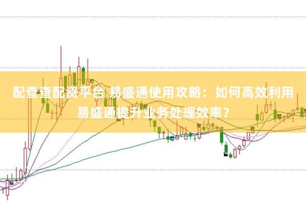 配查查配资平台 易盛通使用攻略：如何高效利用易盛通提升业务处理效率？