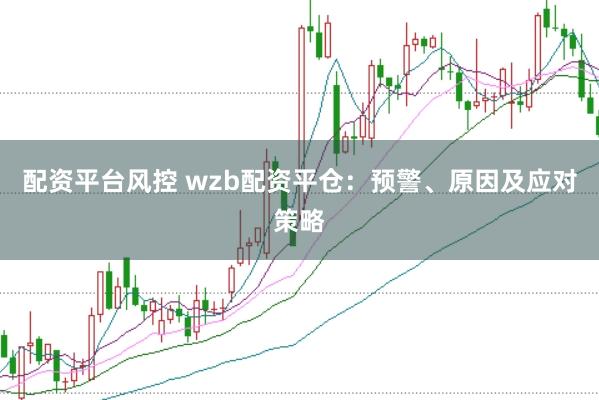 配资平台风控 wzb配资平仓：预警、原因及应对策略