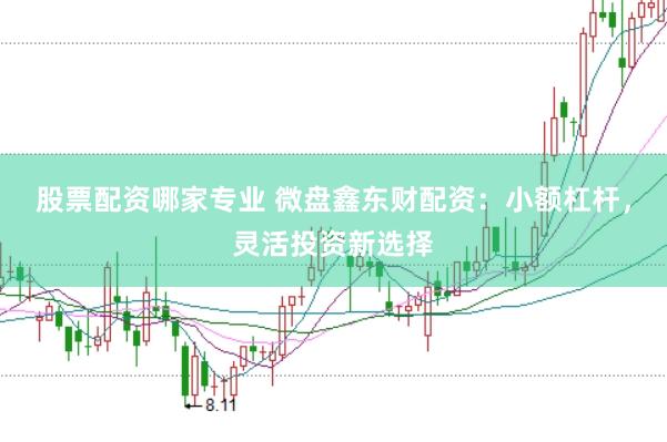 股票配资哪家专业 微盘鑫东财配资:小额杠杆,灵活投资新选择