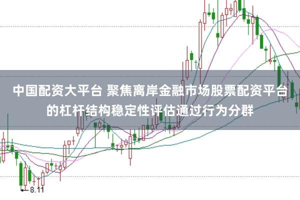 中国配资大平台 聚焦离岸金融市场股票配资平台的杠杆结构稳定性评估通过行为分群