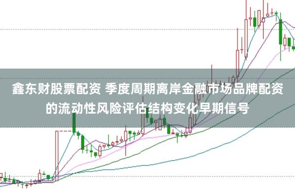 鑫东财股票配资 季度周期离岸金融市场品牌配资的流动性风险评估结构变化早期信号