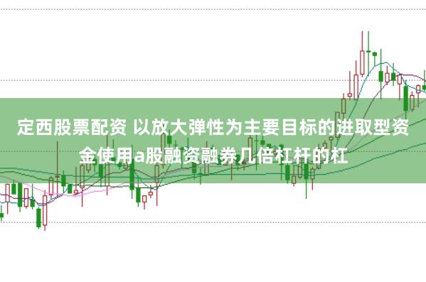 定西股票配资 以放大弹性为主要目标的进取型资金使用a股融资融券几倍杠杆的杠