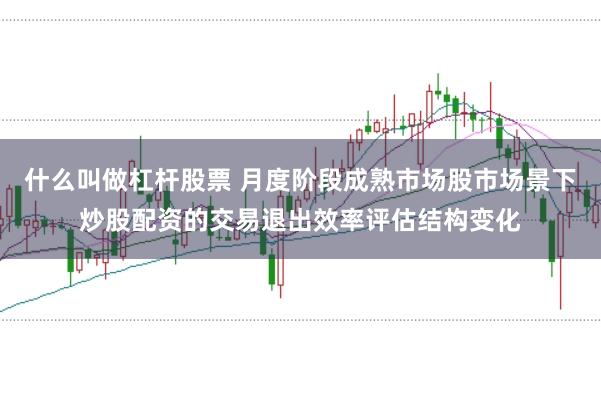 什么叫做杠杆股票 月度阶段成熟市场股市场景下炒股配资的交易退出效率评估结构变化