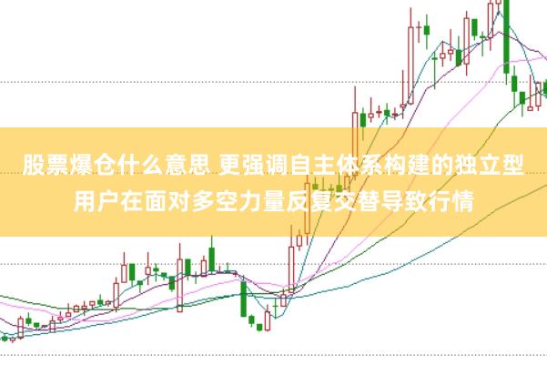 股票爆仓什么意思 更强调自主体系构建的独立型用户在面对多空力量反复交替导致行情